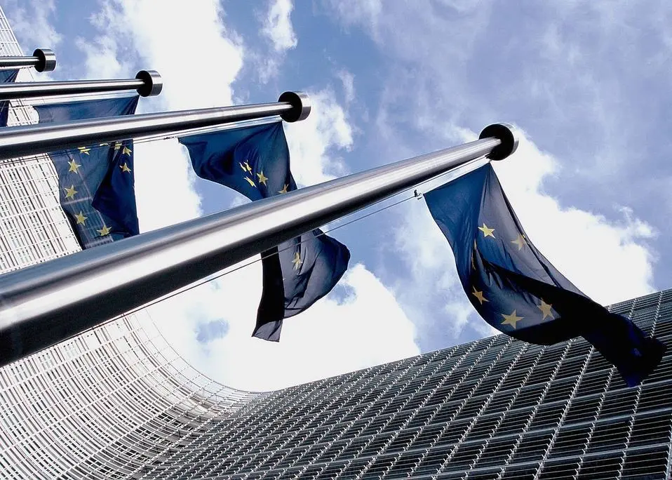 EU flags