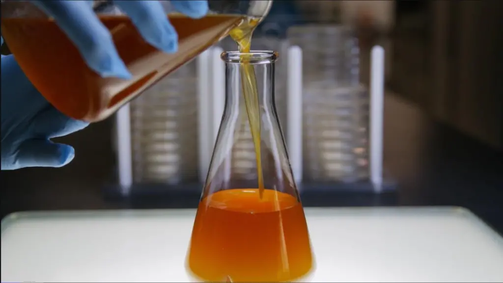 Algal oil