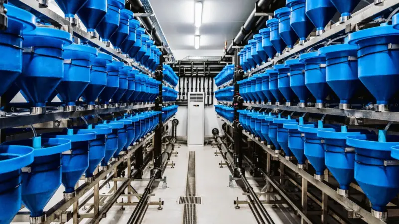 Scottish Sea Farms incubation unit