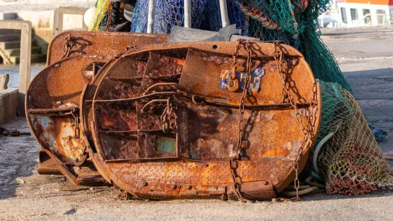 Bottom trawl gear