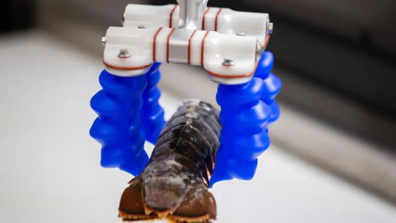 Soft Robotics Lobster Tail