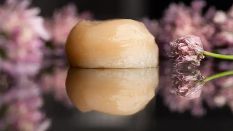 Lab-grown scallop