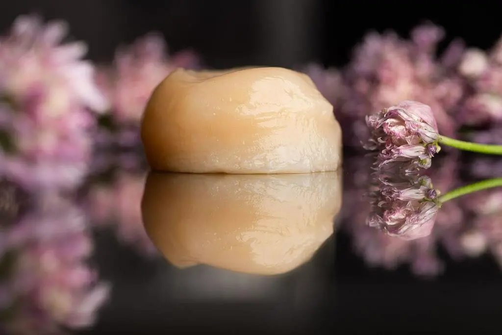 Lab-grown scallop