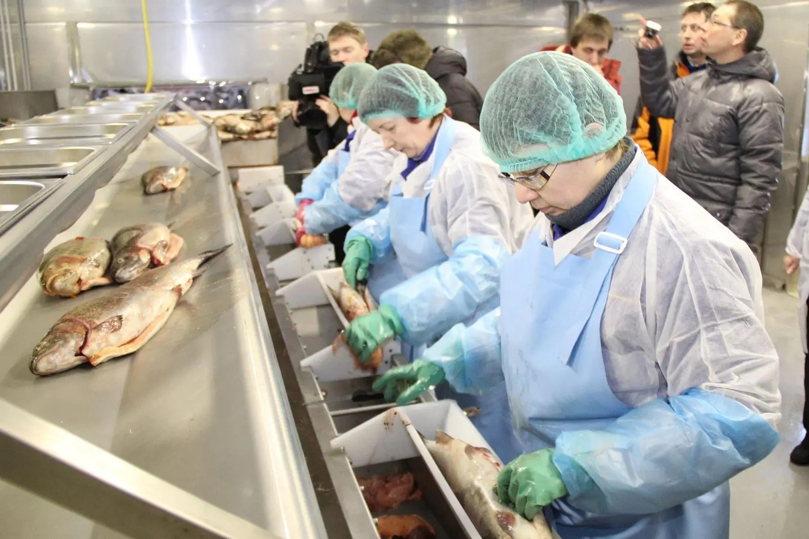Russia fish processing
