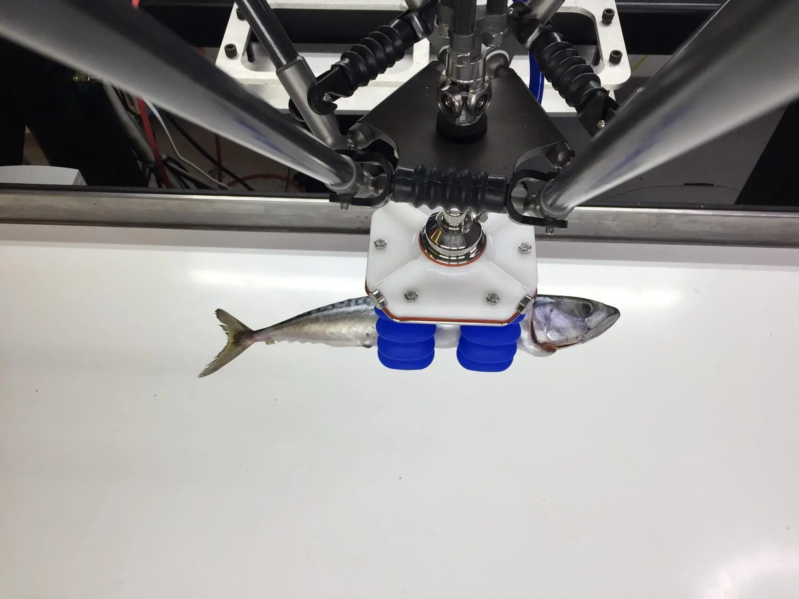 Soft Robotics