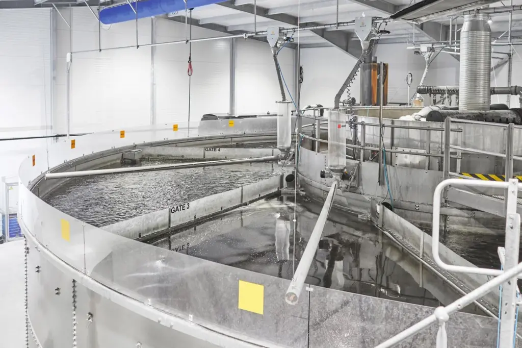 Singapore smart trout farm