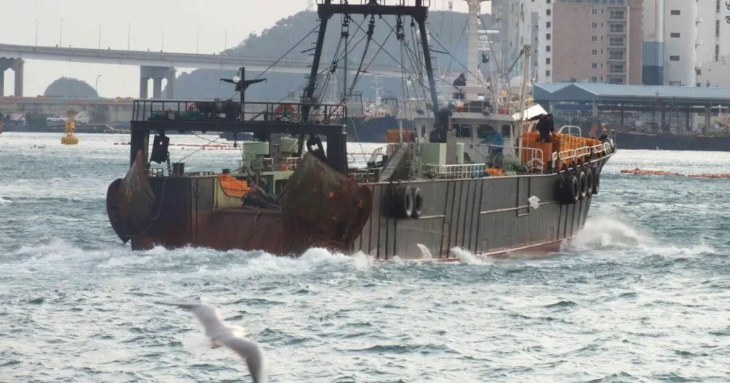 Korea fishing