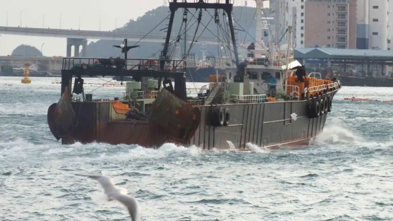 Korea fishing