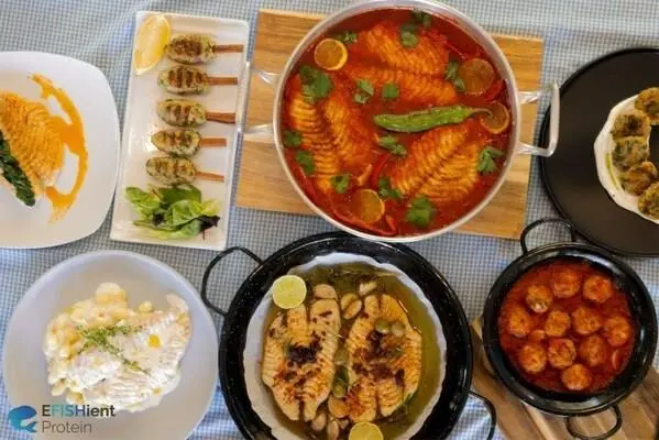 EFISHient Protein