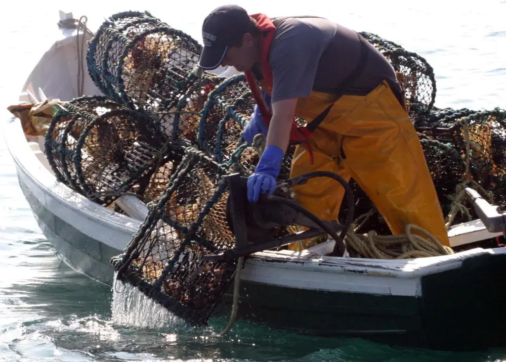 Irish inshore potting