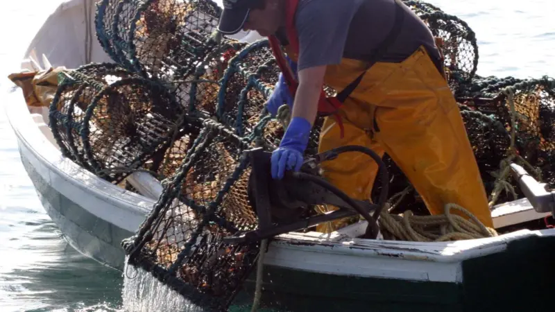 Irish inshore potting