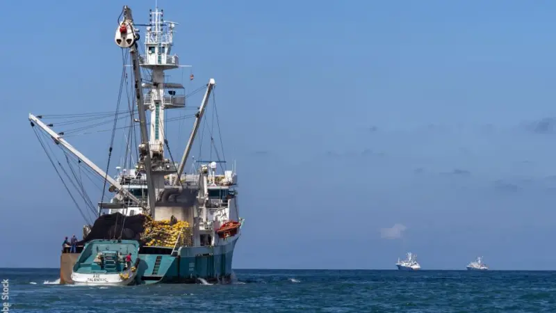 fishing-vessel.