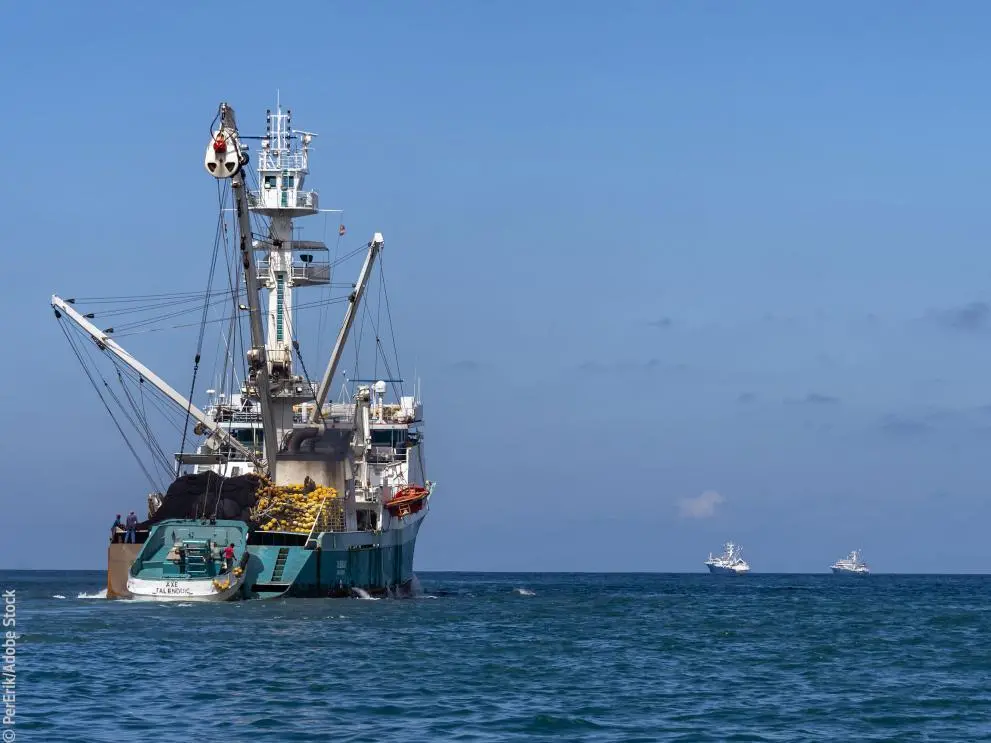 fishing-vessel.
