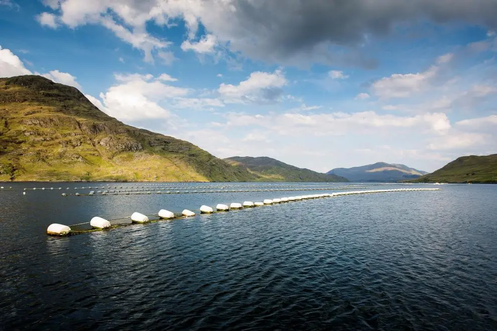 Mussel lines, Ireland