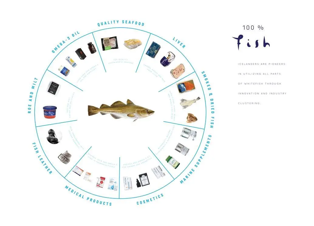 100% Fish