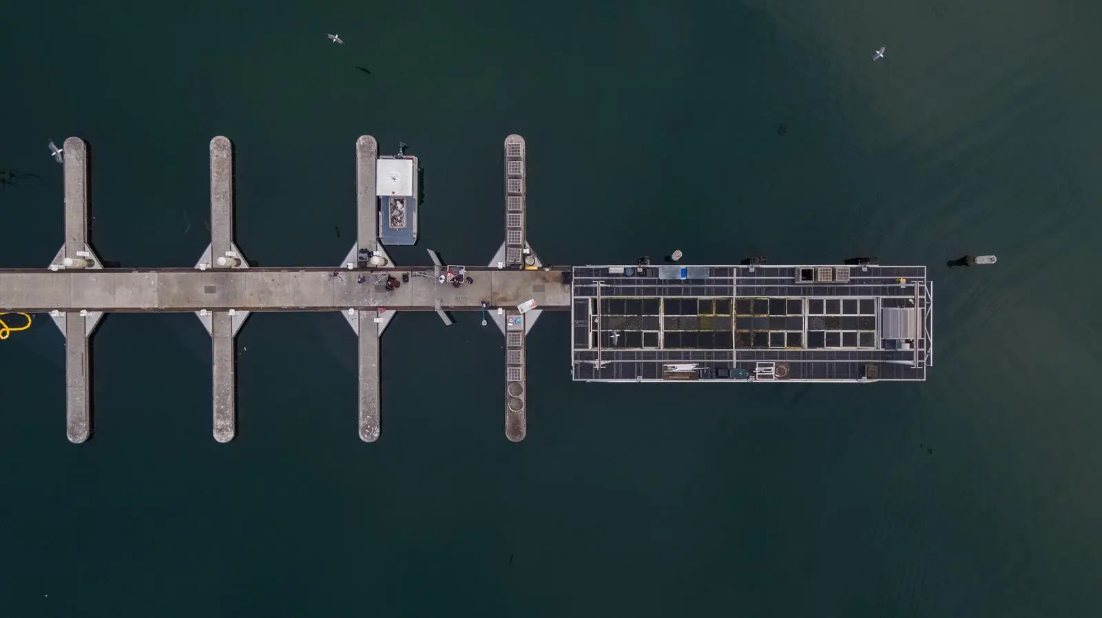 Port of San Diego