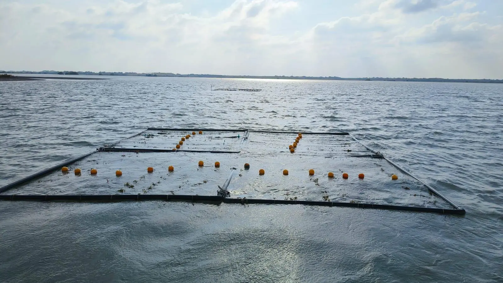 Seaweed Raft grids deployed along Indo-Pak border creeks witnessed by Principal Sceretary to PM