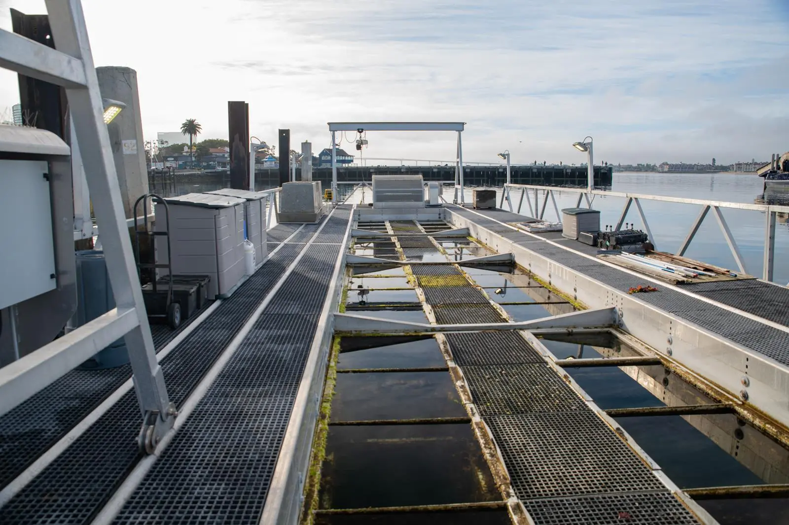 Environment Flupsy Aquaculture Roper