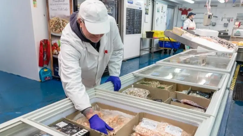 Seafood carbon emissions profiling tool