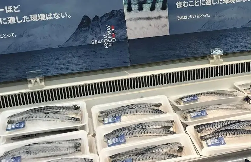 Norwegian mackerel