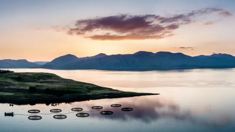 Fish farm Scotland