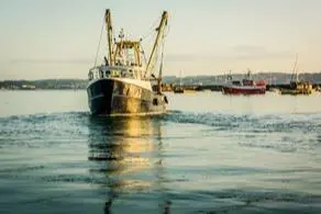 UK fish stocks