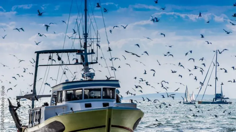 Fishing vessel