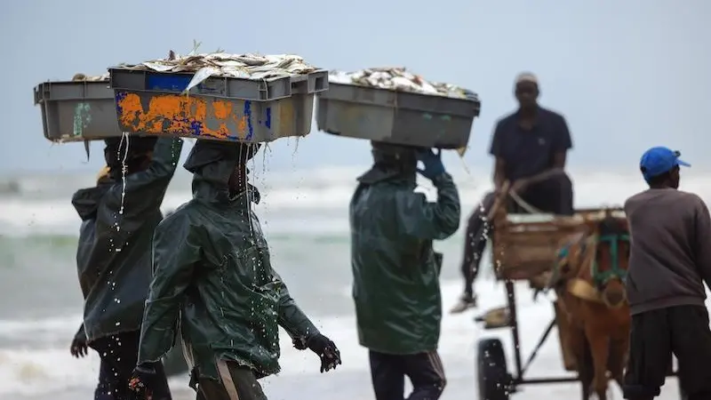 Senegal fisheries