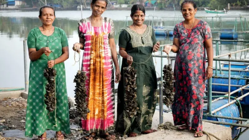 Moothakunnam mussel farmers