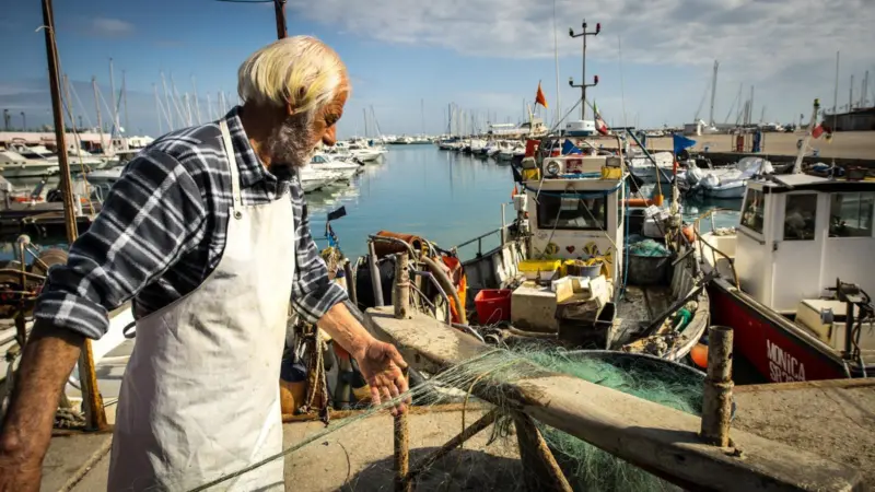 Mediterranean fisheries