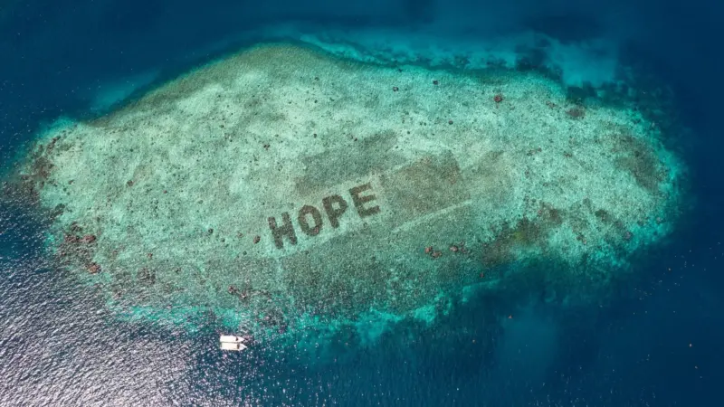 HOPE reef
