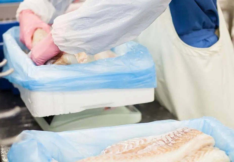 Seafood traceability
