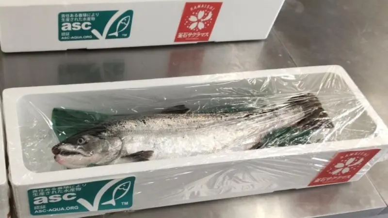 Cherry salmon with ASC label
