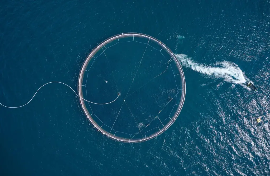 Arnarlax seafarm
