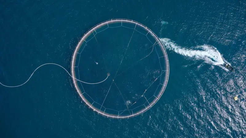 Arnarlax seafarm