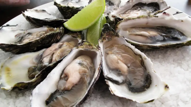 Pacific oysters