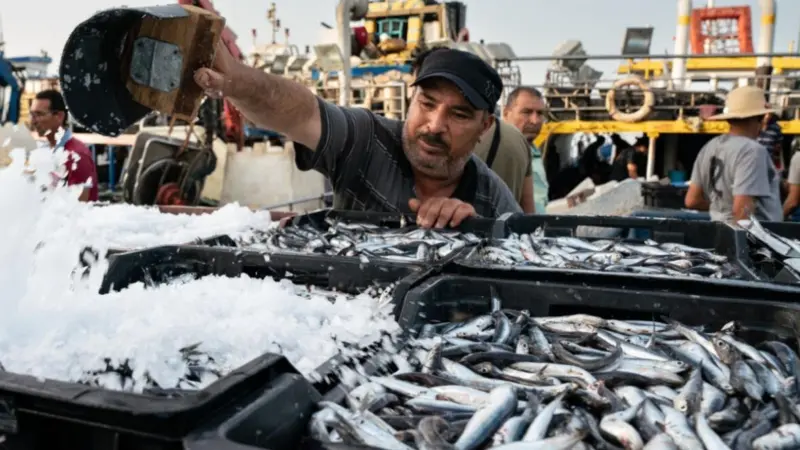 Picture shows a Black sea fisherman