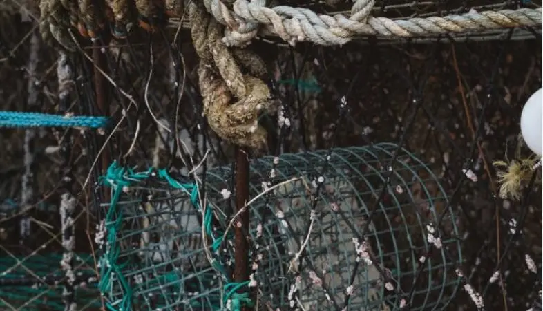 Fishing net
