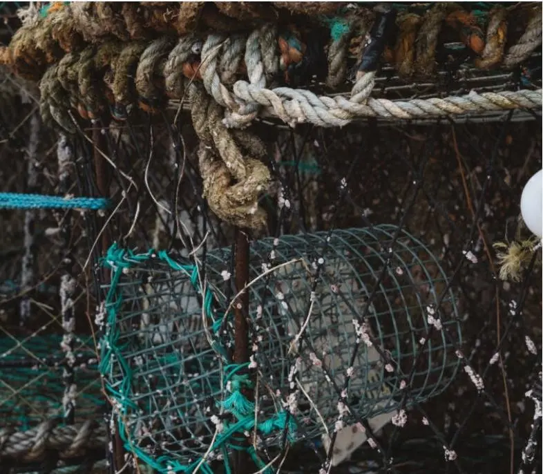 Fishing net