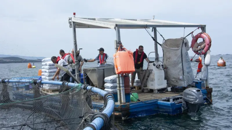 Aquaculture workers at a field visit in Vonitsa in Greece