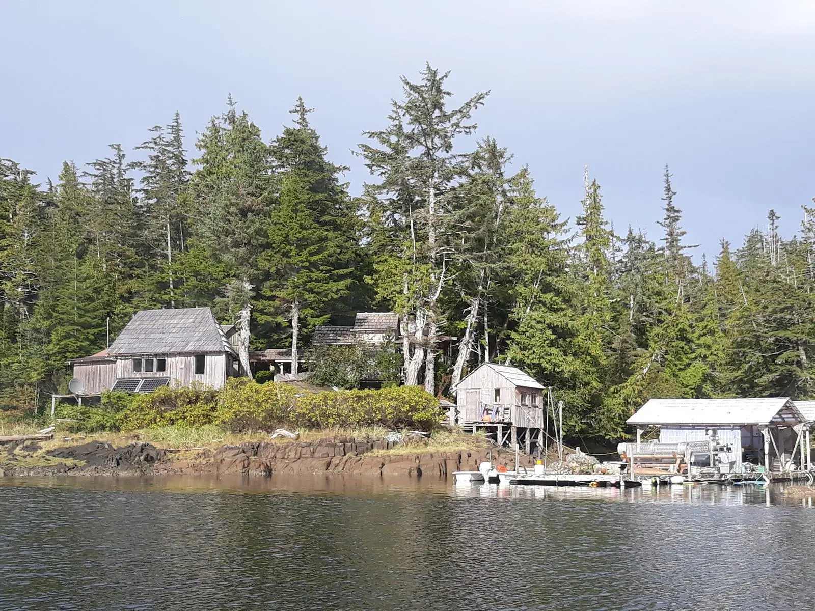 Canoe Lagoon Oysters