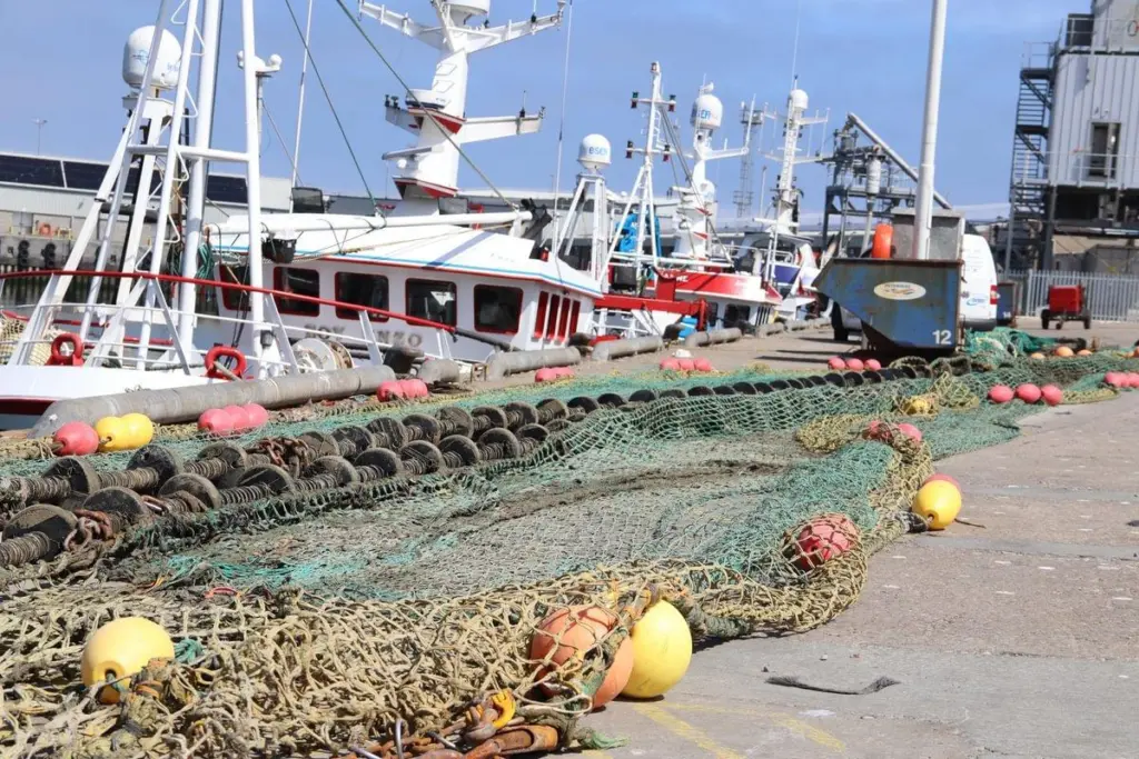 Seafish survey