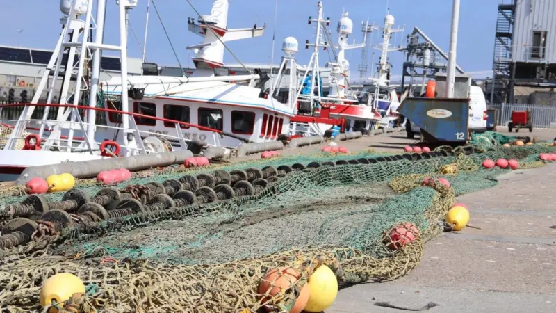 Seafish survey