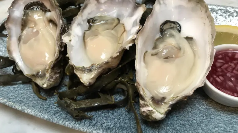 Pacific oysters