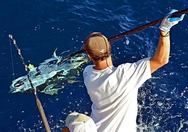 Harpoon fishing