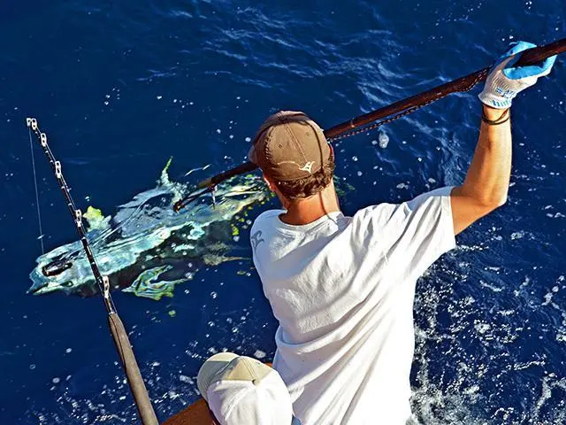 Harpoon fishing