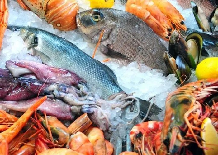 Seafood