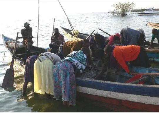 Lake Victoria: Women-fishmongers scrambling for omena fish