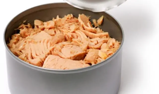 Canned tuna