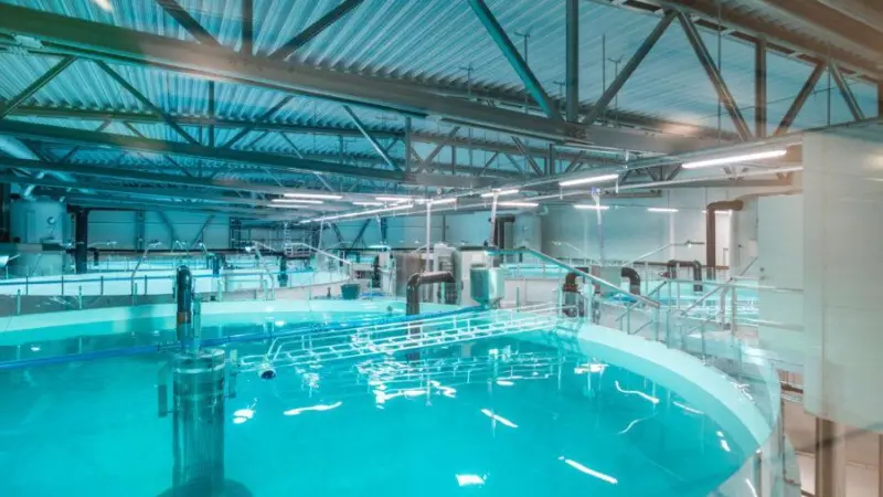 Artec Aqua